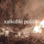 Πυρκαγιά σε ξερά χόρτα στην Επαρχιακή Οδό Ολύνθου Πολυγύρου στην Χαλκιδική